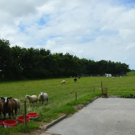'tuus Op Tessel'