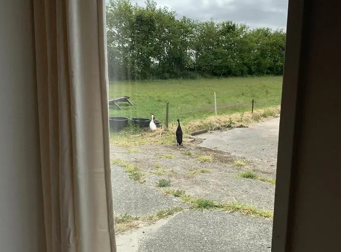 'tuus Op Tessel' לינה וארוחת בוקר 3*